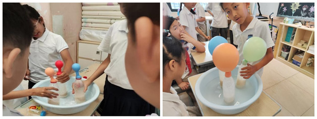 黨建引領聚合力，科普育人潤童心——生物醫藥學院師生黨支部攜手華師附小學子探索微生物世界