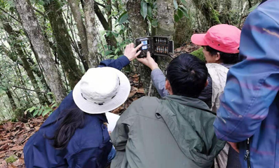 紅外相機(jī)監(jiān)測實(shí)戰(zhàn)培訓(xùn)賦能烏蒙山自然保護(hù)與科學(xué)研究